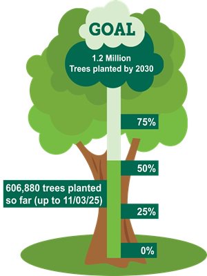 Infographic showing our tree planting progress as described in this section.