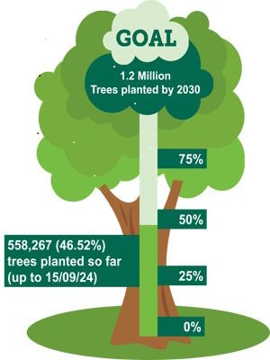 Infographic showing our tree planting progress as described in this section.