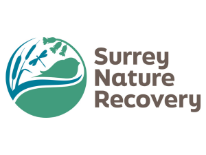 Surrey Nature Recovery logo
