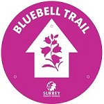 graphic of bluebell walk signage