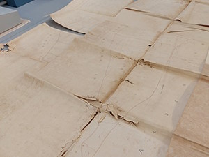 Unfolding the damaged tithe map